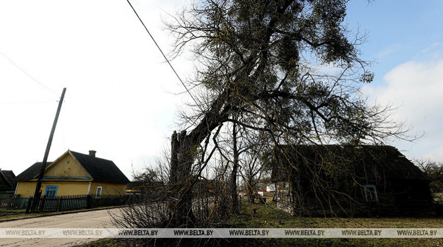 Больше половины проданных пустующих домов в Беларуси реализованы за одну базовую величину