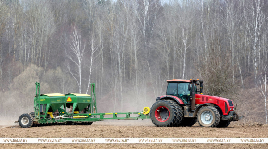 Сколько площадей планируют засеять в этом году в Витебской области
