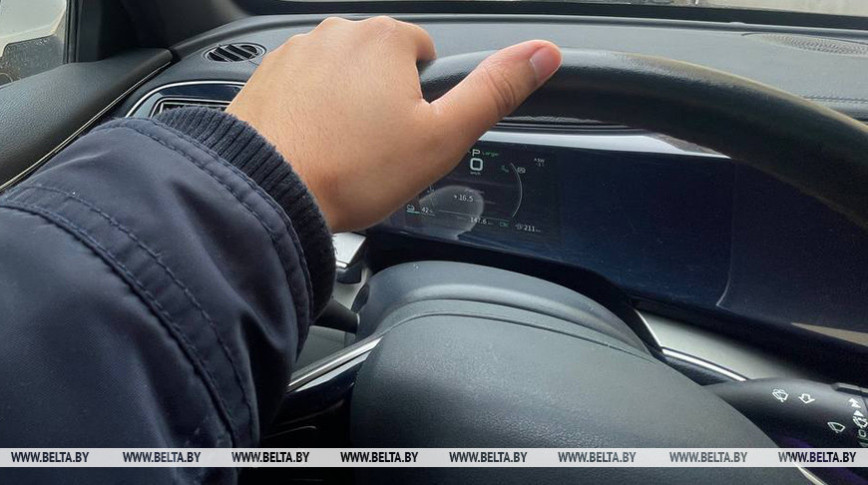 Водители, инженеры, ветврачи. Какие вакансии в топе на рынке труда Витебской области