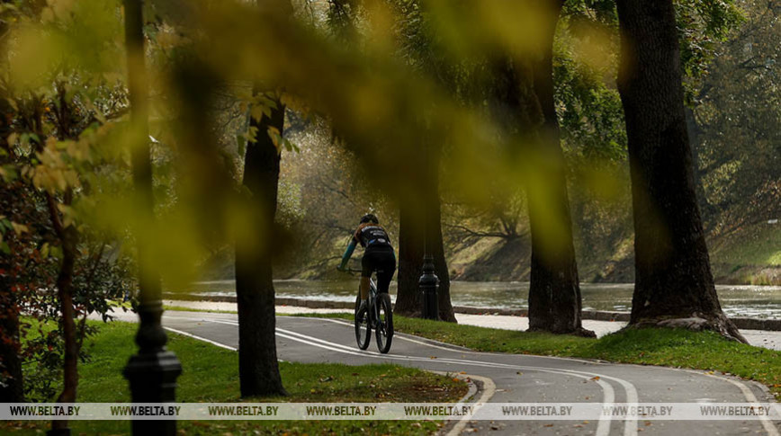 Веломаршрут, смотровая вышка на болоте. Гражданские инициативы в Витебской области набирают обороты