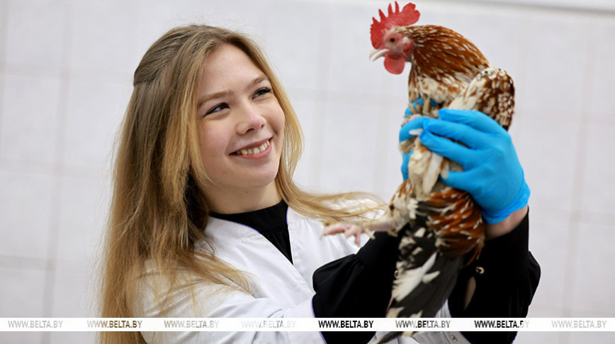 Какие качества нужны будущему ветеринару, рассказала студентка Витебской ветакадемии и продолжатель семейной династии