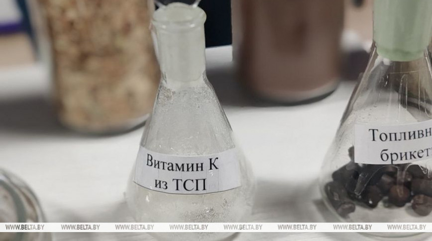 Студенты ПГУ разработали проект по созданию основы для витаминов K1 и K3 из нефтехимического сырья