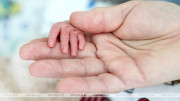 Government approves regulations on free IVF treatment in Belarus