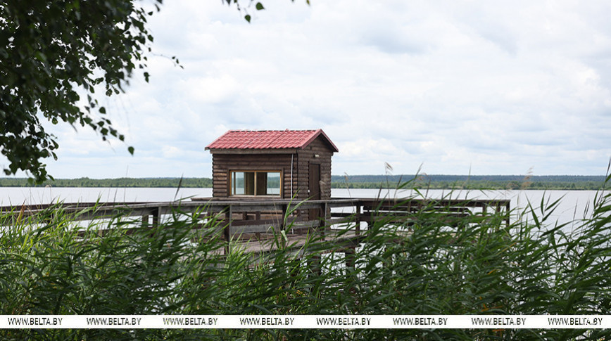 Beehive beds, museums, eco‑trails, and wildlife: A perfect getaway in the Berezinsky Reserve