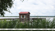 Beehive beds, museums, eco‑trails, and wildlife: A perfect getaway in the Berezinsky Reserve