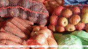 Belkoopsoyuz boosts agricultural procurement in H1 2026