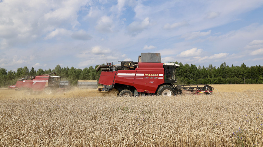 Sergeyenko reviews harvest campaign in Vitebsk Oblast