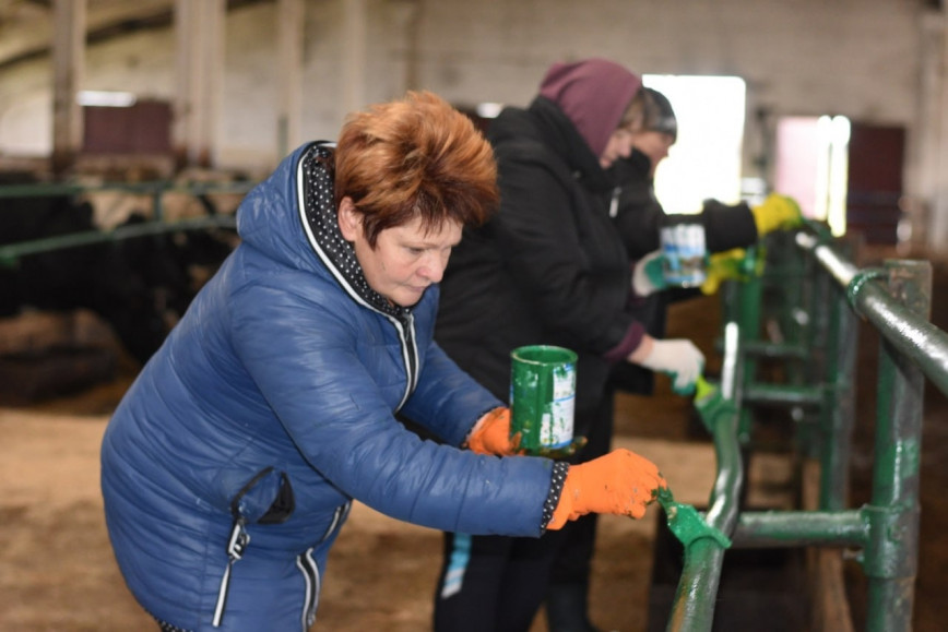Ушачане сегодня трудятся на районном субботнике