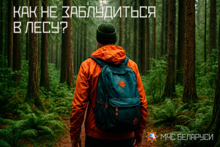 Как не заблудиться в лесу?

