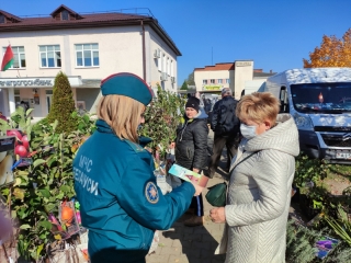 Ушачи. Ростки безопасности.