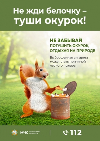 Безопасность в лесу