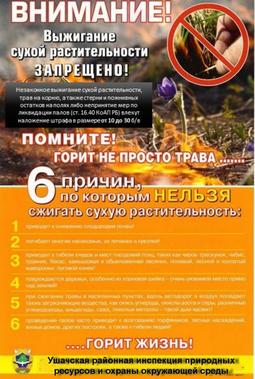 Выжигание сухой растительности запрещено!
